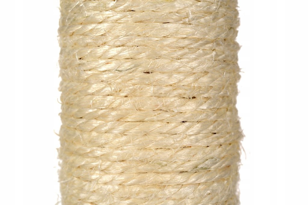 Katzenbaumdetail
